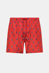 Racingcar Men's Swimsuit