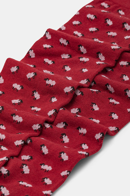 Calza uomo Pecorelle cashmere